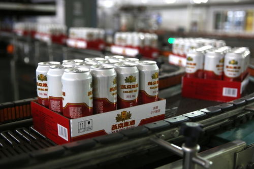 餐桌上的食品安全無小事 走進沈陽綠色工廠，探訪神秘的啤酒酵母生產線